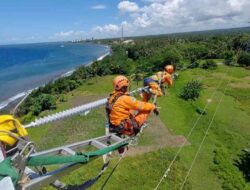 Amankan Listrik Selama Idul Adha 1445 H, PLN Tetapkan Masa Siaga Tiga Hari Berturut