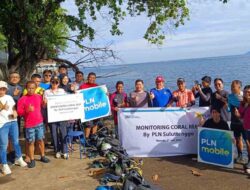 Gandeng Boboca Diving Club, PLN Konsisten Perkuat Konservasi Terumbu Karang